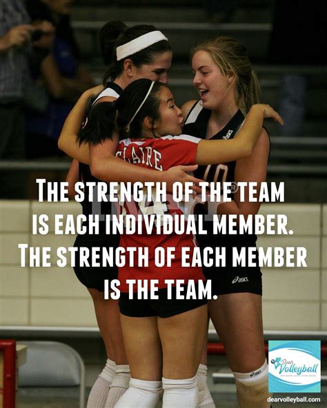 good volleyball quotes